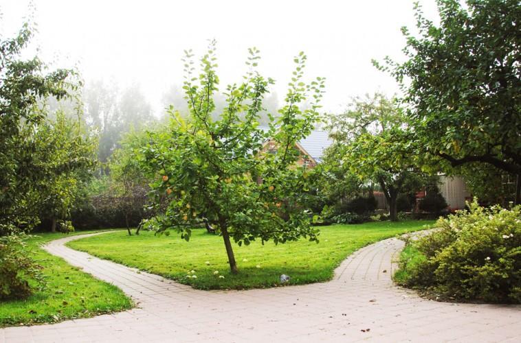 Apartamentai Obelyne Palanga Buitenkant foto