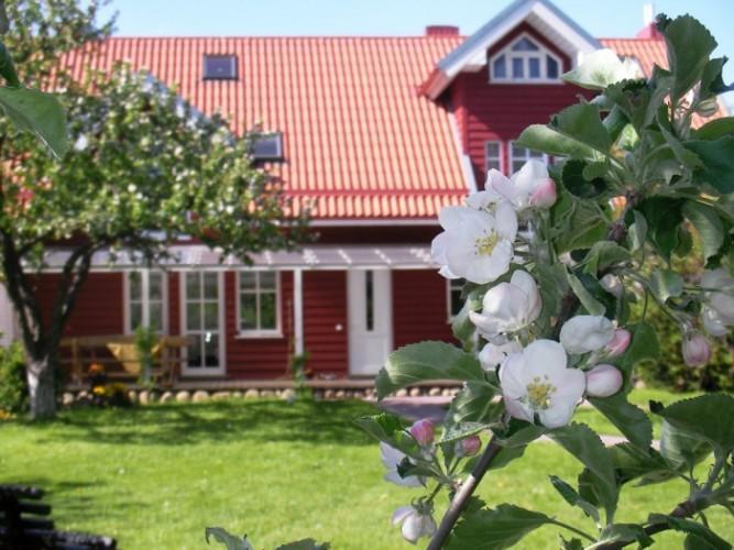 Apartamentai Obelyne Palanga Buitenkant foto