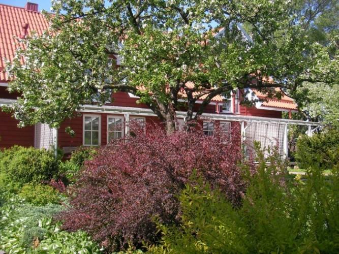 Apartamentai Obelyne Palanga Buitenkant foto