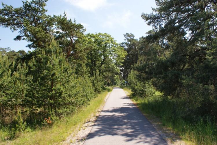 Apartamentai Obelyne Palanga Buitenkant foto